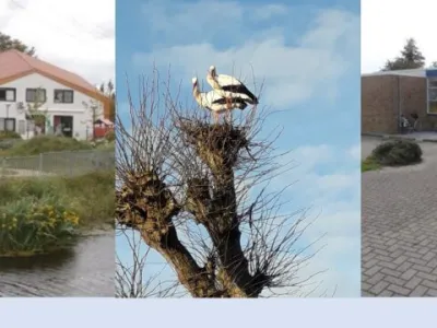 Het Tuinhuis