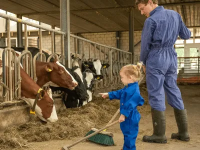 Boer Spierings Kinderdagverblijf