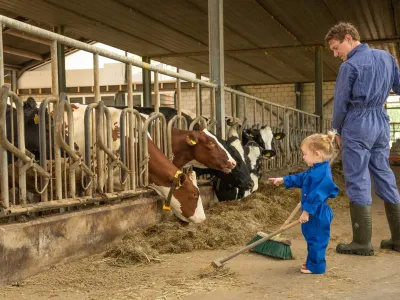 Boer Spierings Kinderdagverblijf