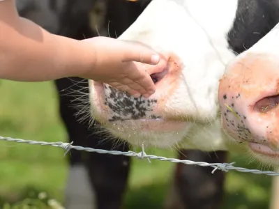 Laarsjes in de Polder B.V.