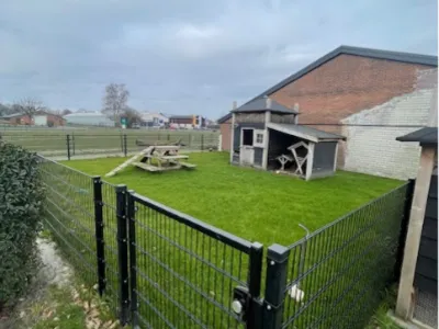 Koetjes & Kalfjes