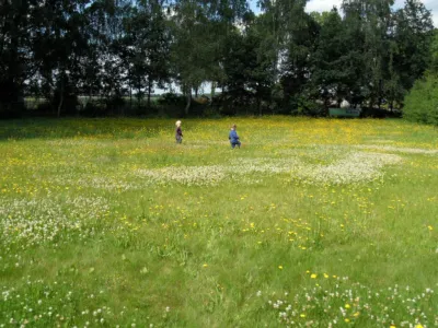 Agrarische Kinderopvang Het Groene Spoortje