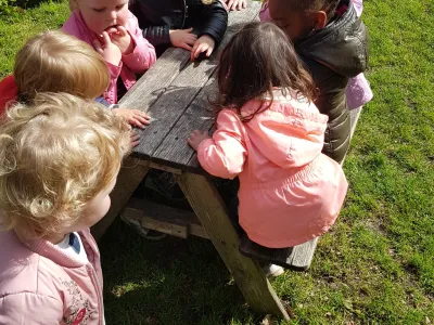 De Vlindertuin