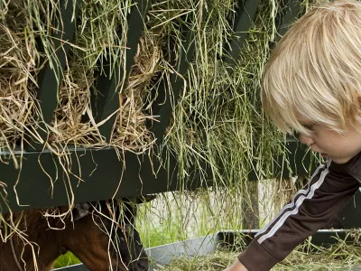 Agrarische Kinderopvang Reggekrummel