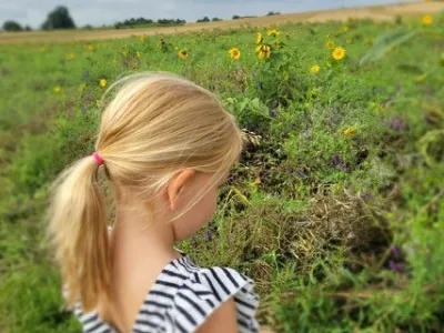 Kinderdagverblijf 't Höfke