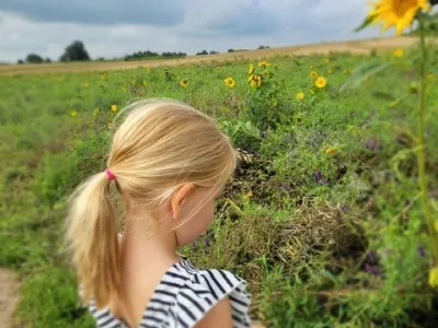 Kinderdagverblijf 't Höfke