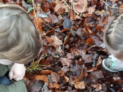 ontdekken en ontwikkelen - kinderopvang Heyendael