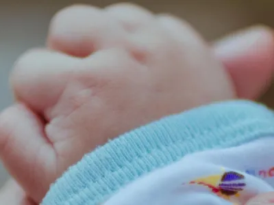 Kinderopvang De Bosuiltjes Den Haag