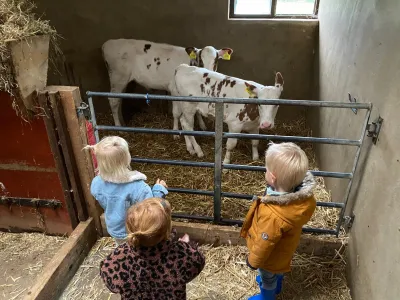 Kinderopvang De Bengeltjes