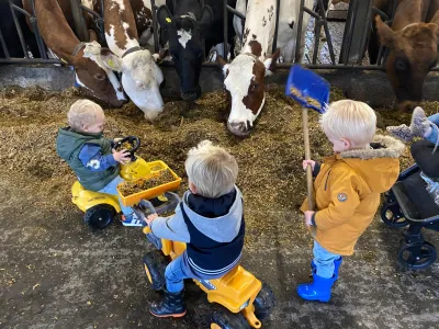 Kinderopvang De Bengeltjes