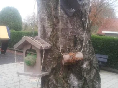 Kindcentrum ONS Stekkie
