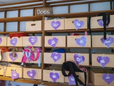 Jottum! Kinderdagverblijf
