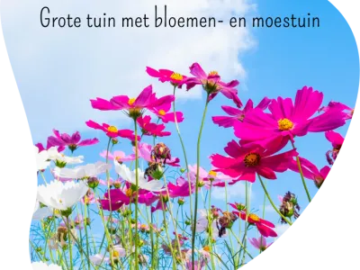 Het Avonturenbos