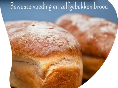 Het Avonturenbos