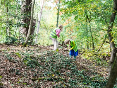 20221010 De Groene Zwaluw bos-6