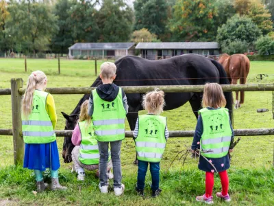 20221010 De Groene Zwaluw bos