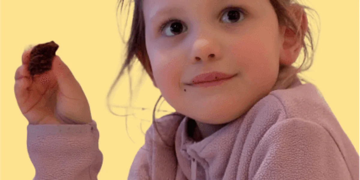 Stichting Buitenschoolse Opvang ProKidz