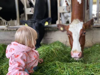 De Ark kinderopvang op de boerderij