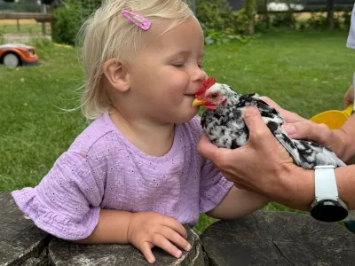 Borgjes Boerderijtje