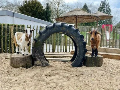 BSO Catootje & Obelix