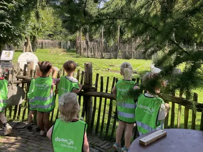 Doomijn KDV Wildwalstraat