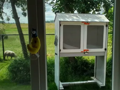 buiten slapen vlindertuin