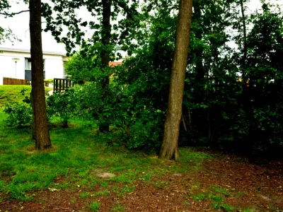 Tuin BSO Babba