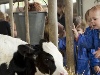 Agrarische Kinderopvang Reggekrummel