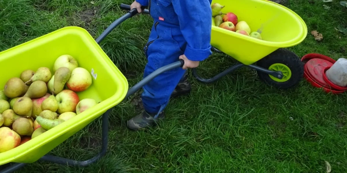 Boerderijopvang