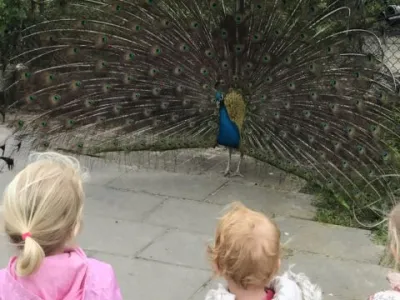 Het Tuinhuis, locatie Mendelweg 14a