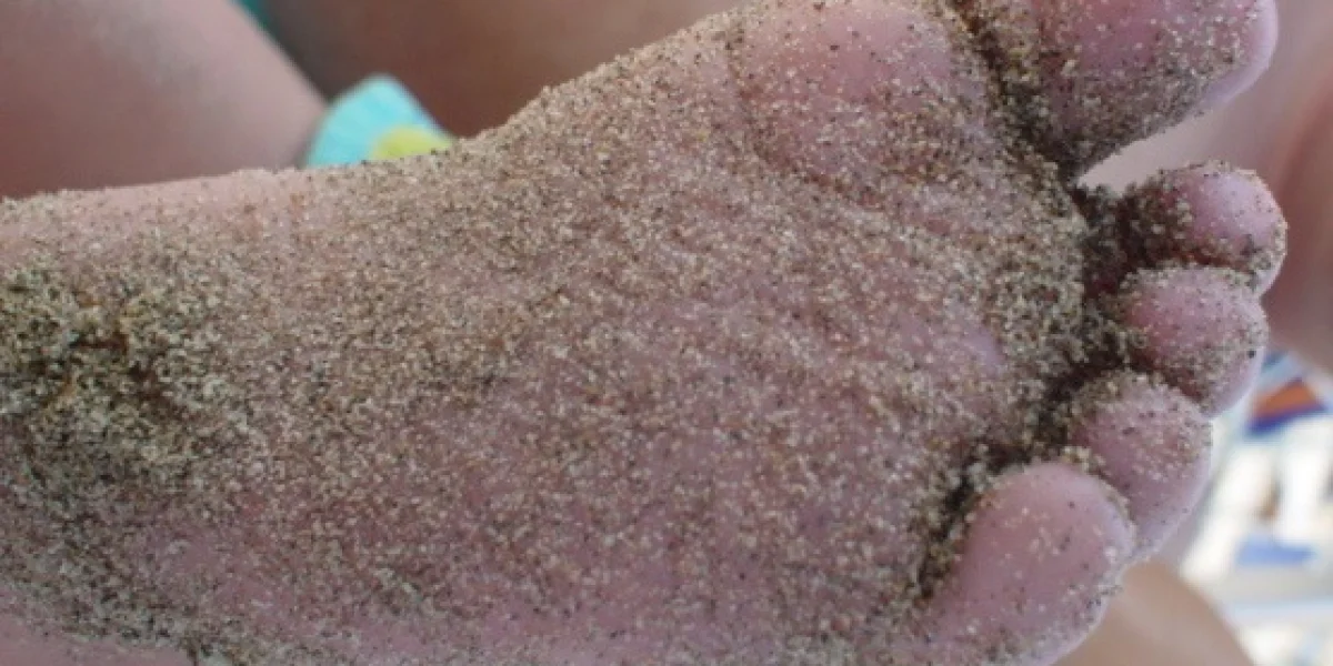 KDV Het Strand