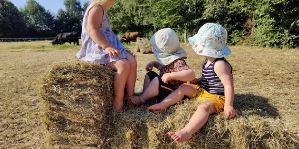 Kinderdagverblijf Aard-lief