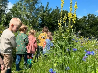 bloemen