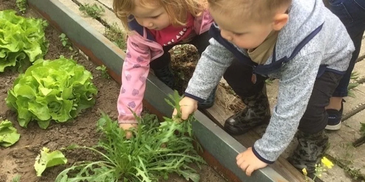 Kinderopvang de Hiept