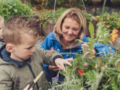 Kinderopvang Alles Kids