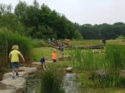 Dolfijn kinderopvang