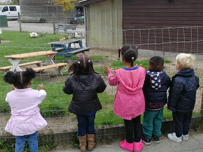 kinderboerderij