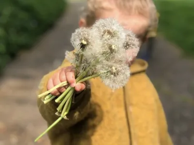 Noppie Kinderopvang kind met paardenbloemen