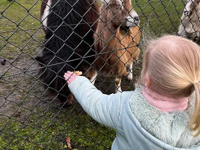 Kinderopvang 't Hertje (KDV)
