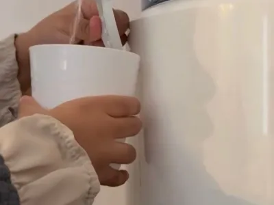 De kleine Ansar