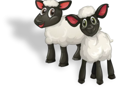 Schaap Decoratie