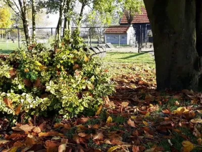 Buitenschoolse opvang afbeelding