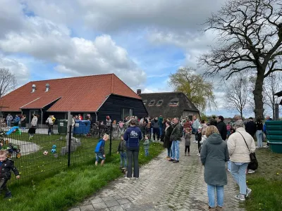 Het is altijd een feest als de koeien in het voorjaar naar buiten gaan
