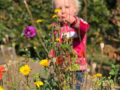 Groene Kinderopvang