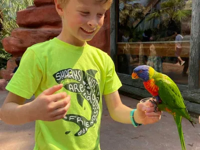 Jongetje met papagaai