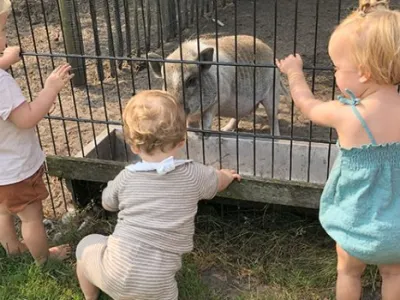 De Helpende Handjes