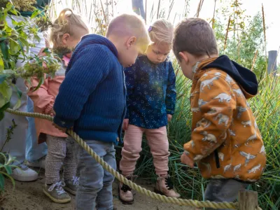 Kinderen zijn aan het buitenspelen op de dagopvang