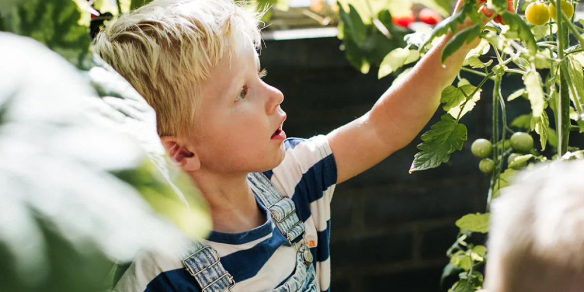 Kinderdagverblijf Catootje