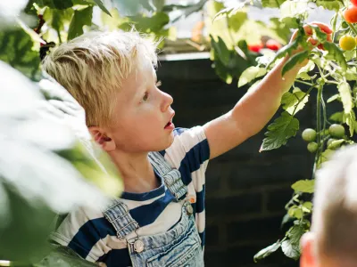 Kinderdagverblijf Catootje