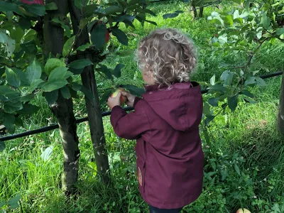 Kinderopvang De Cristallijn